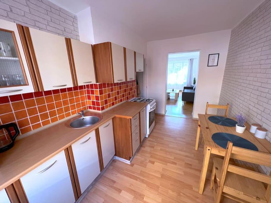 דצ'ין Apartman U Labe מראה חיצוני תמונה