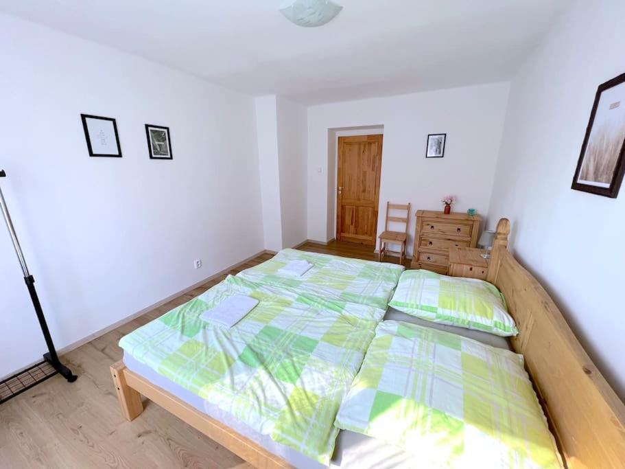 דצ'ין Apartman U Labe מראה חיצוני תמונה