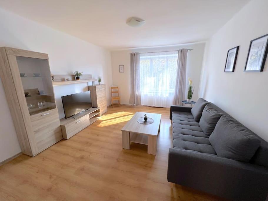 דצ'ין Apartman U Labe מראה חיצוני תמונה