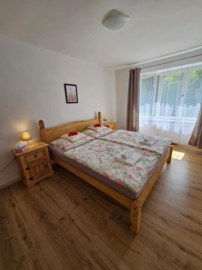 דצ'ין Apartman U Labe מראה חיצוני תמונה